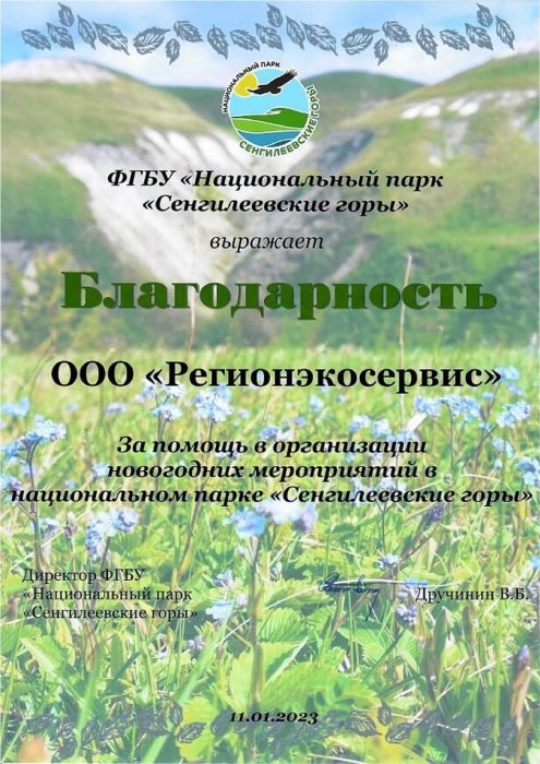 Помощь в организации Новогодних мероприятий